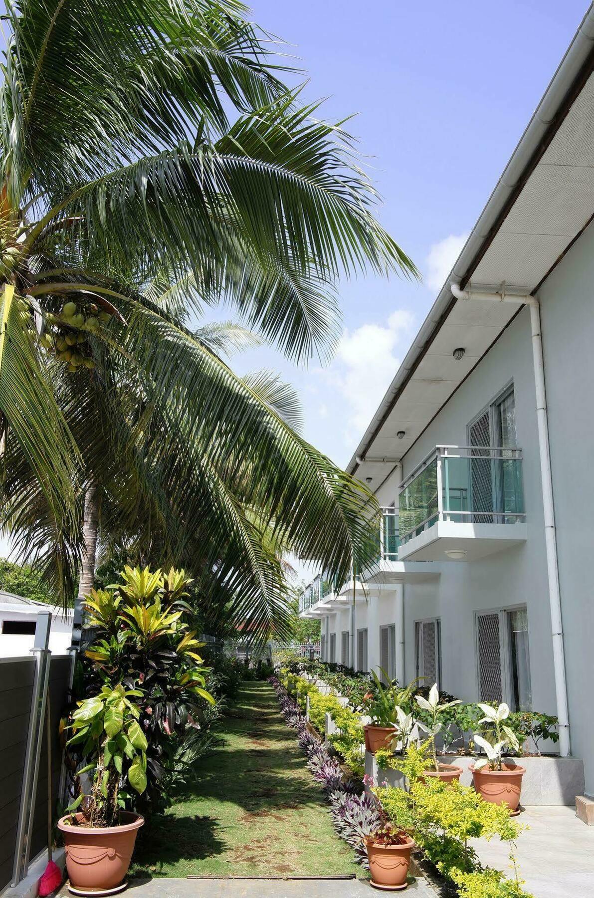 Luganvilla Business Hotel And Restaurant Luganville Exterior foto